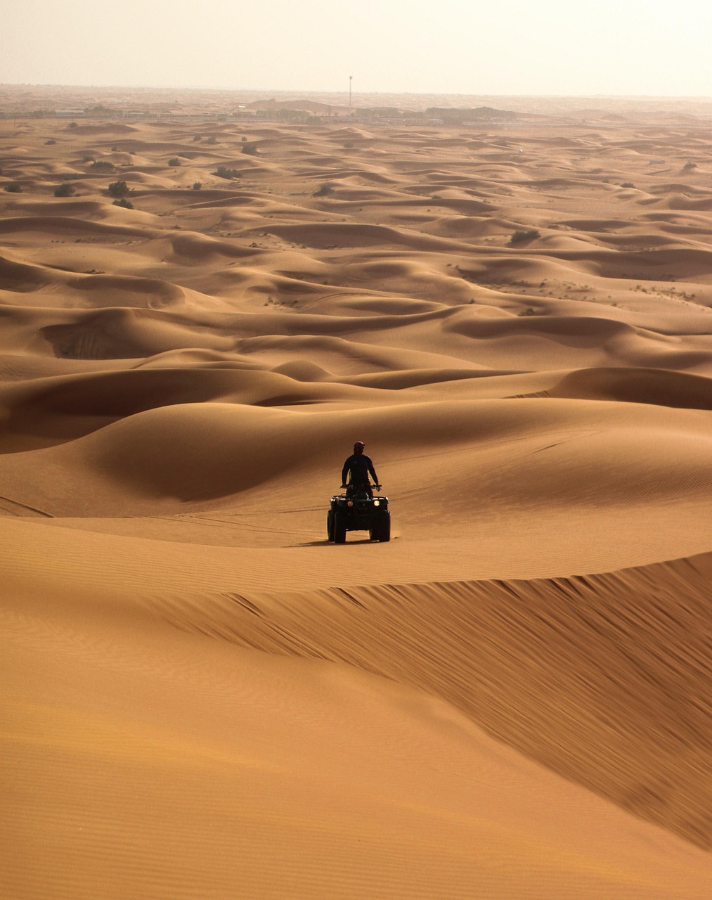 portfolio-02 desert, nature, sand, safari, quad, atv, quad bike dubai, dubai, dubai tour